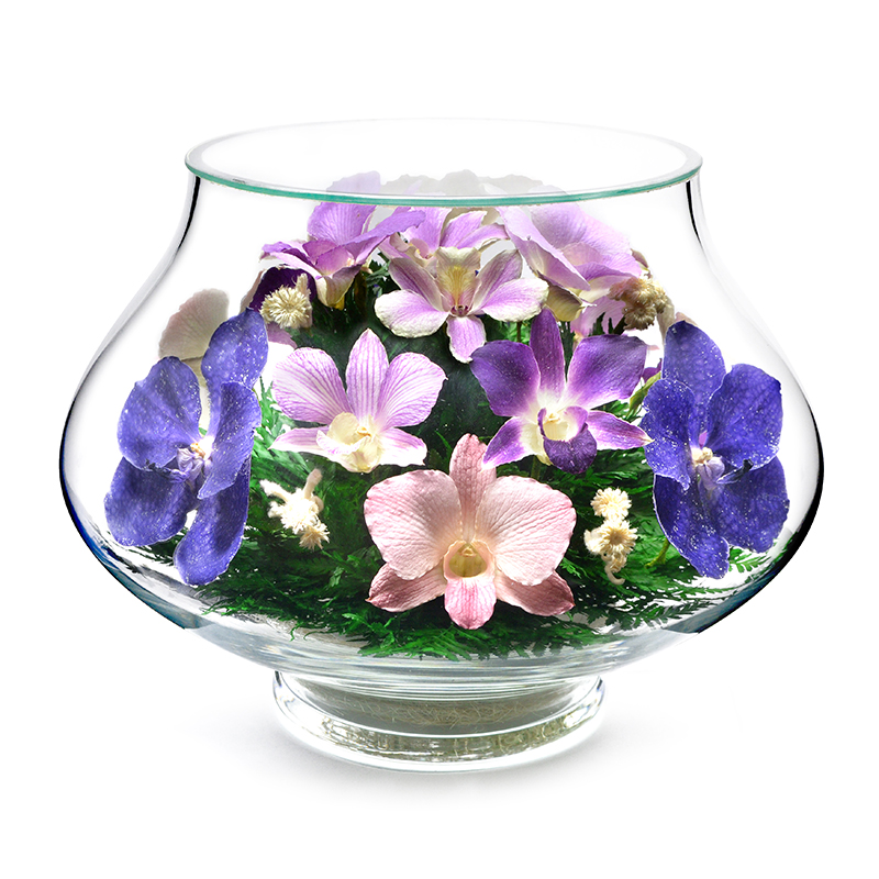 Доставка орхидей по россии. Орхидея в стеклянной вазе. Орхидеи в капсулах. Цветы в вазе. Цветы в стекле ~ вакуум.
