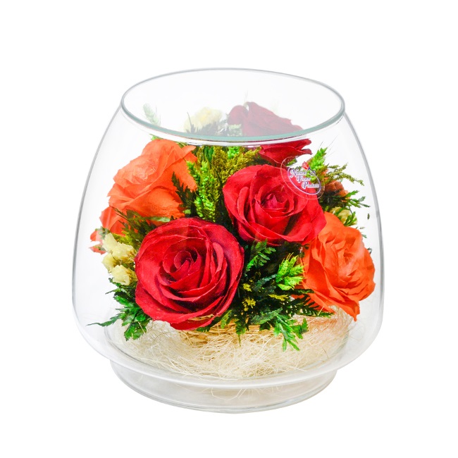 Цветы В Вакууме Купить Оптом