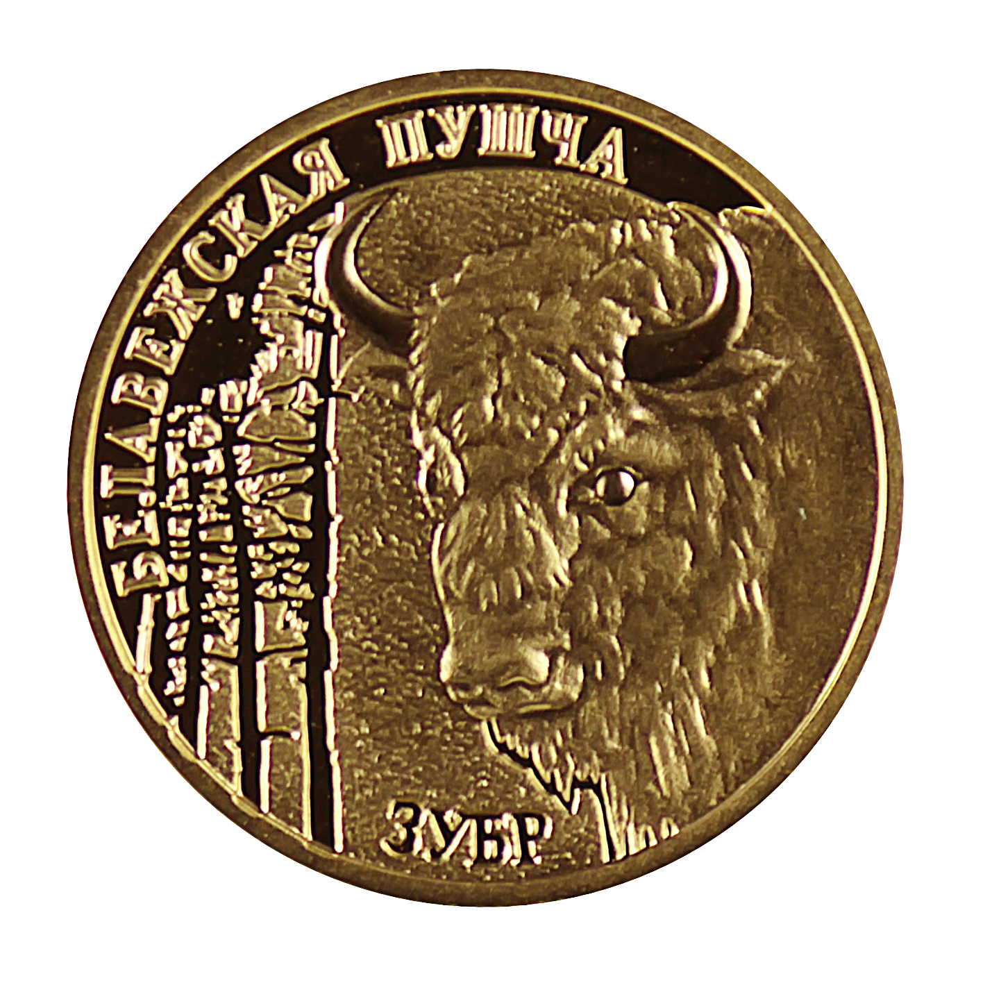 Держава золото монеты цена. Монета ЗУБР. Монета с бизоном. ЗУБР медаль. Зубробизон на монетах.