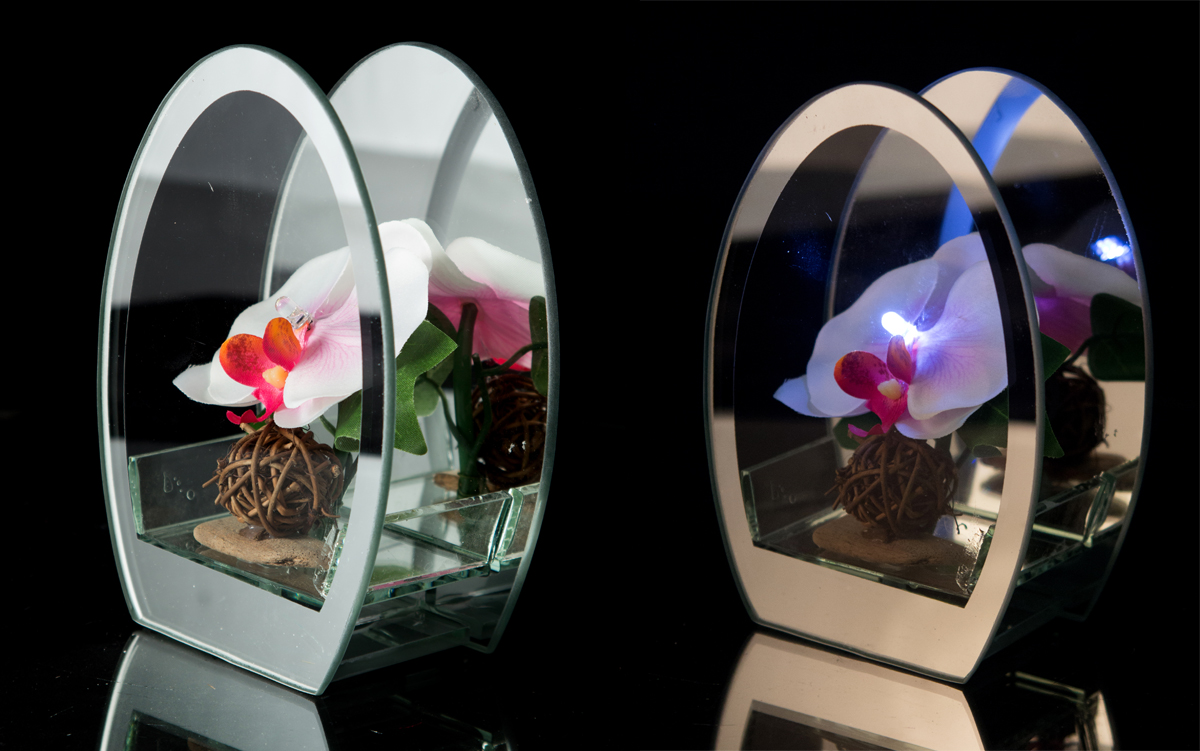 Цветок Орхидеи В Коробочке Купить В Спб