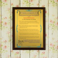 Подарочный диплом (плакетка) *Инструкция по эксплуатации жены* - фото