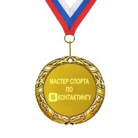 Медаль *Мастер спорта по вконтактингу* - фото