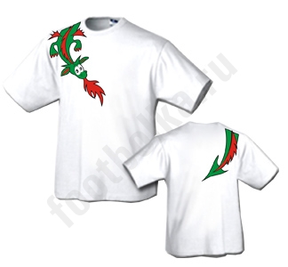 Футболка детская с драконом - фото