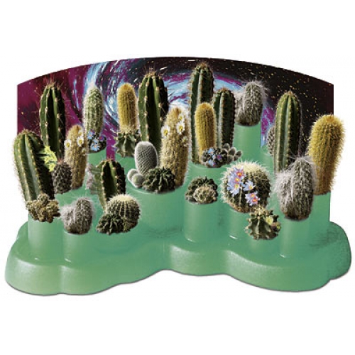 Cactus Cooler Shirt