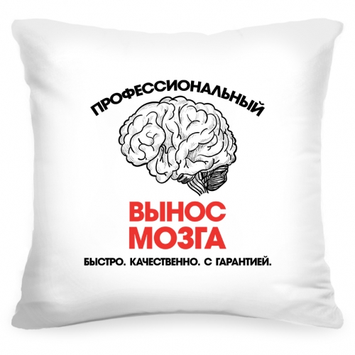Подушка «Вынос мозга» - фото