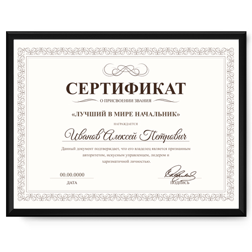Именной сертификат в рамке «Лучший в мире начальник» - фото