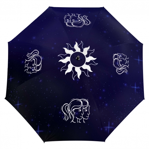 Зонт со знаком гороскопа «Близнецы» - фото