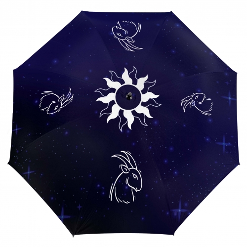 Зонт со знаком гороскопа «Козерог» - фото