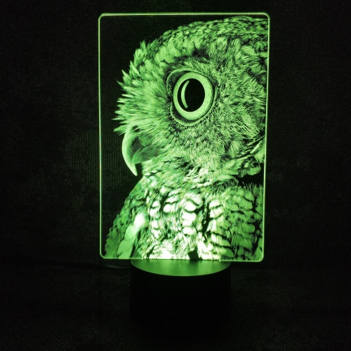 3D светильник «Сова ночной страж» - фото