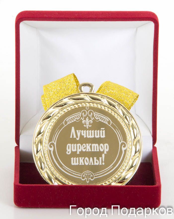 Медаль подарочная Лучший директор школы KGP-010202021 - фото