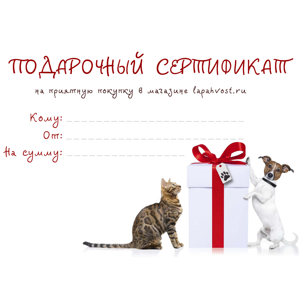 Подарочная карта в зоомагазин