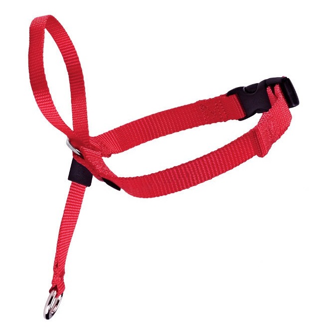 Недоуздок Халти Для Собак Купить В Москве