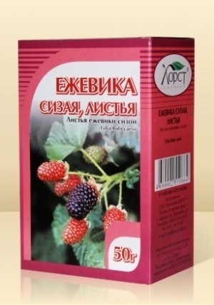 Аптека ежевика сайт. Аптека ежевика сайт