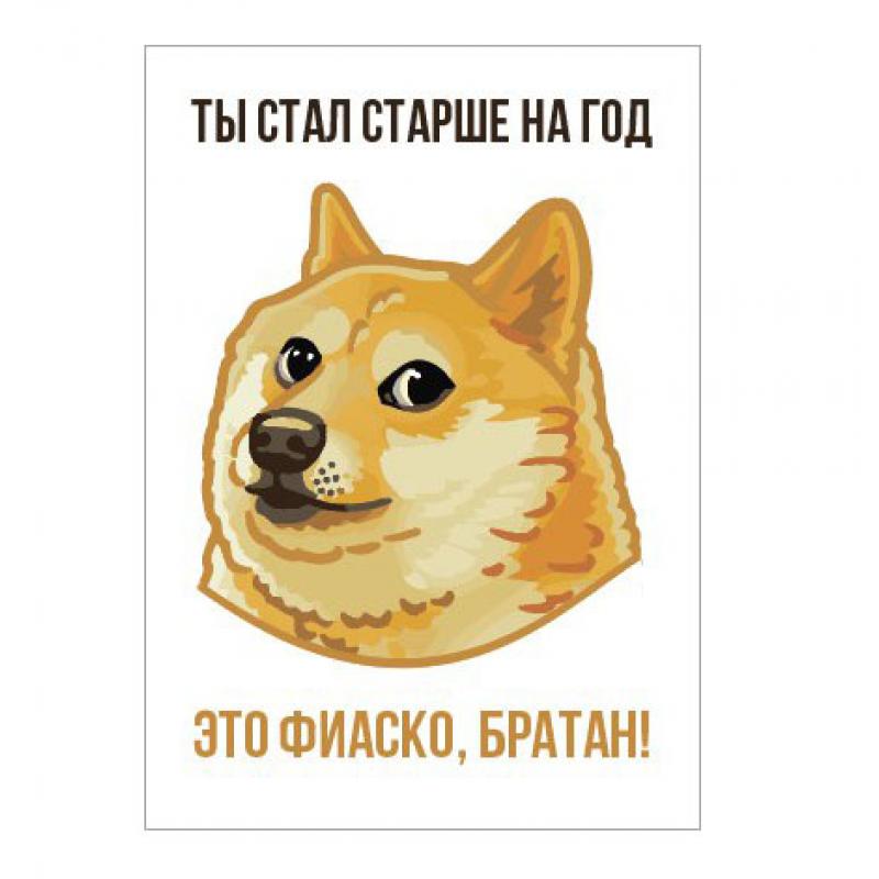 Это фиаско братан мем год
