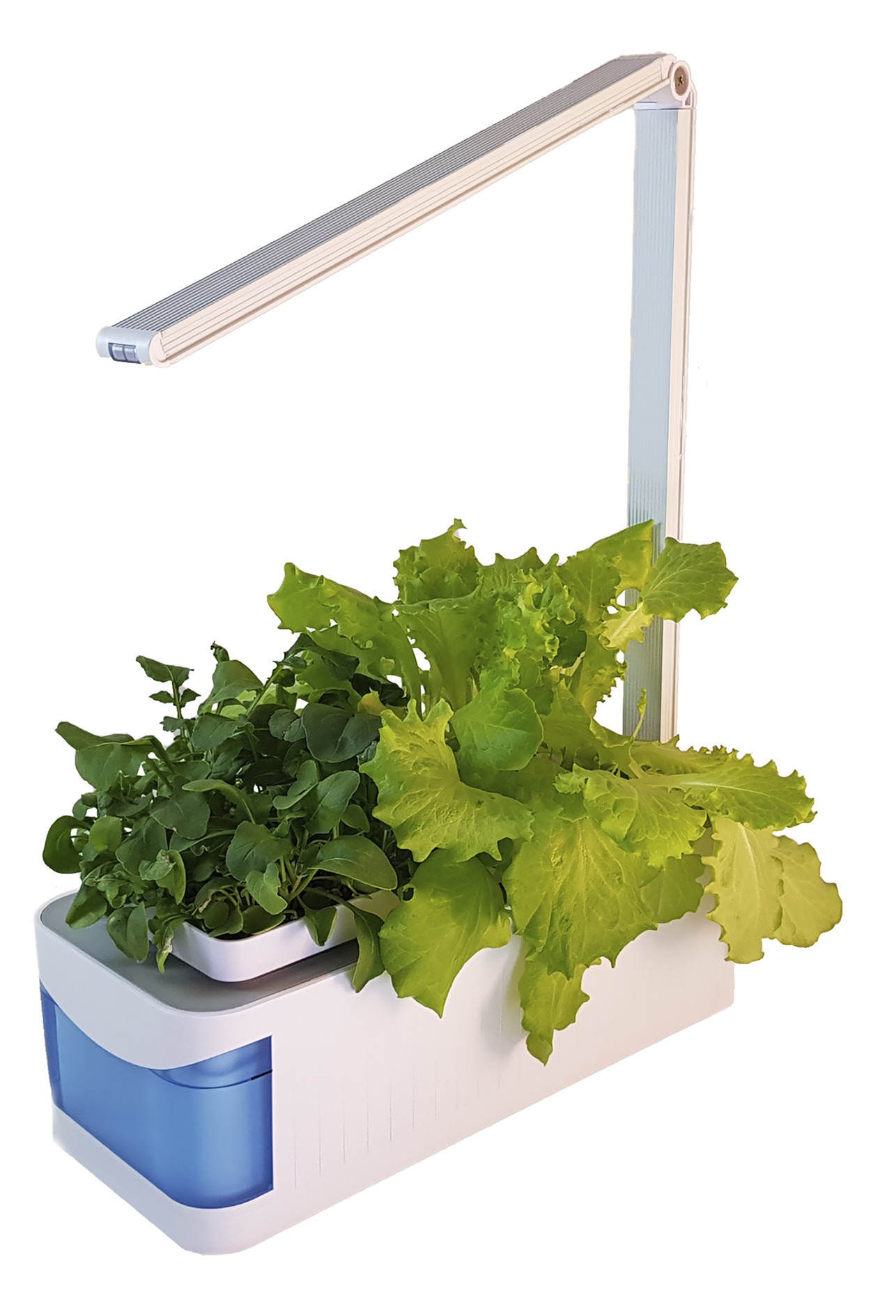 Умная домашняя грядка NatureLove 8539654 купить в Москве: цены и отзывы