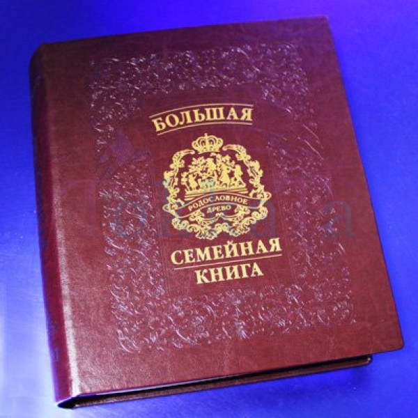 Большая семейная книга
