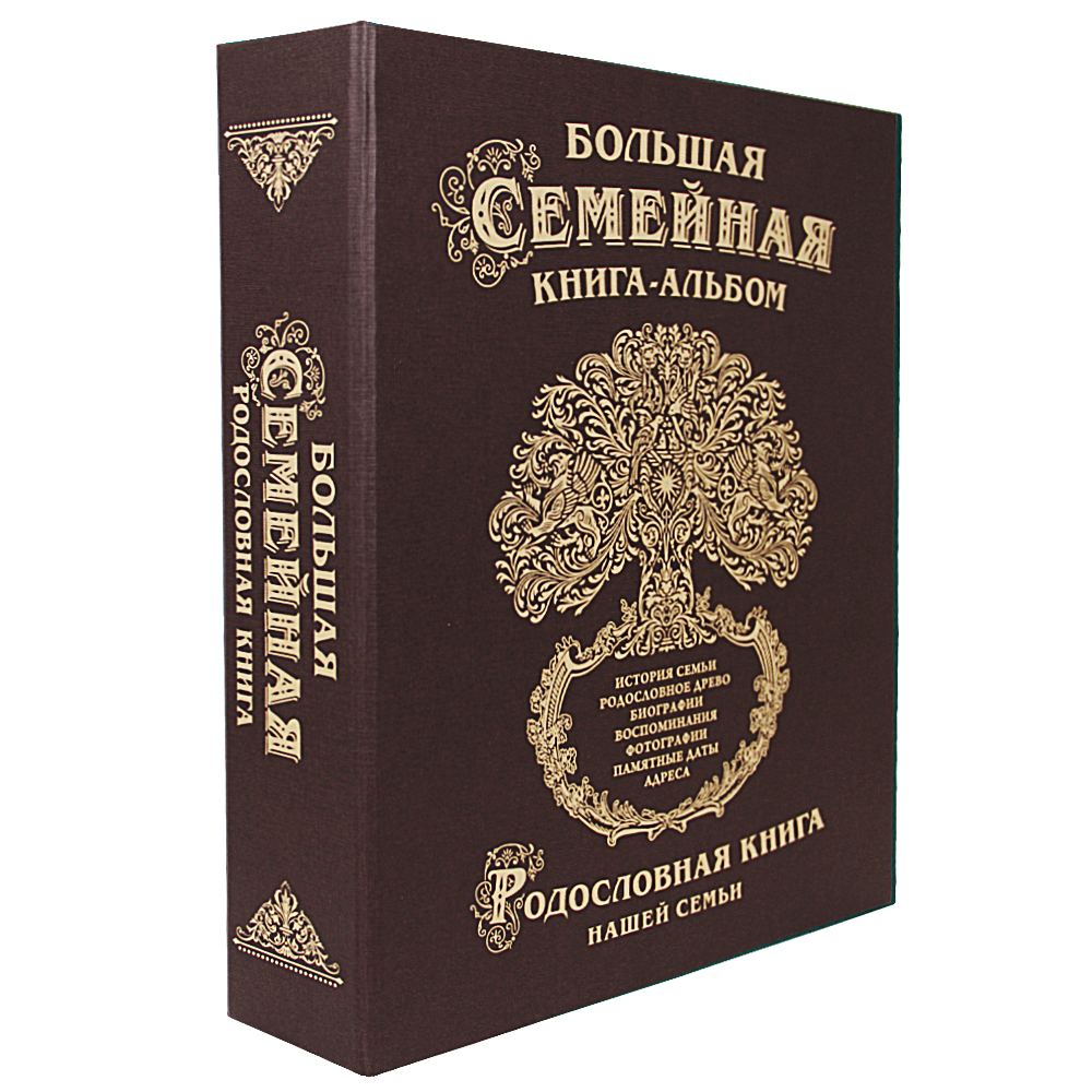 Большая семейная книга. Большая книгамальбом семейная книга. Большая семейная книга купить. Больше больше книг.