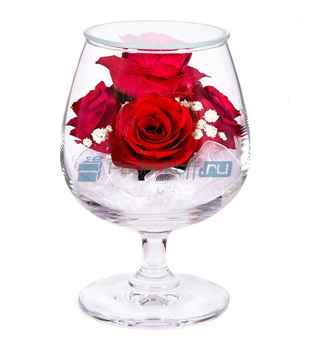 Цветы в стекле в вакууме Карина красная, розы - фото