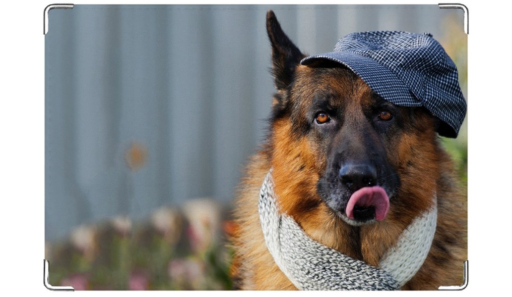 ���������� �������� � ���������