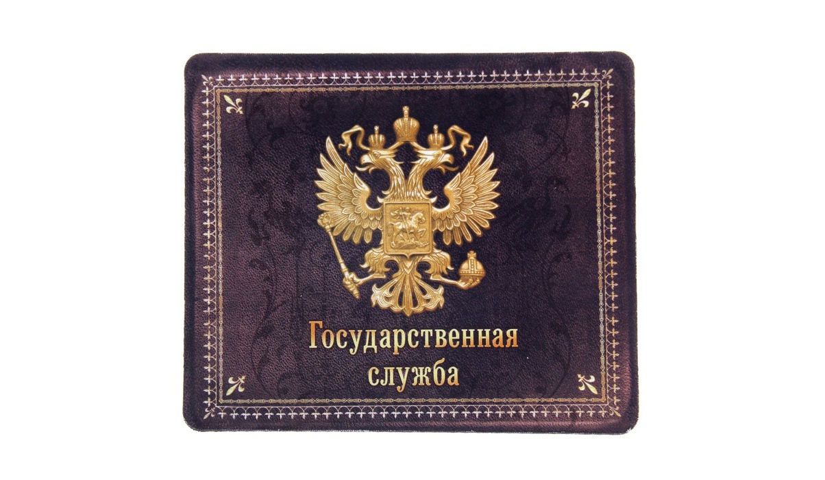 Государственная служба картинки