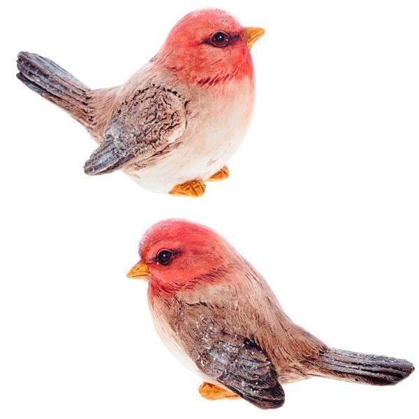 Продажа Птица Декоративное