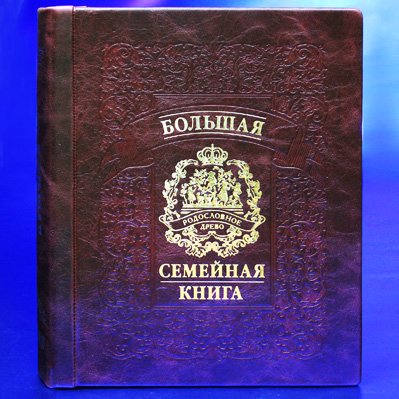 Большая семейная книга. Семейная книга. Родословная книга. Большая семейная книга-альбом. Большая семейная родословная книга.