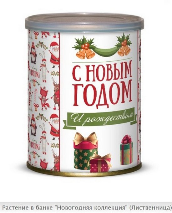 Вырасти Сам Интернет Магазин
