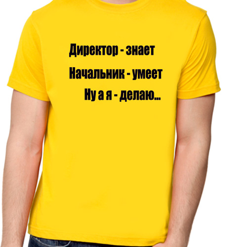 Прикольные надписи директору. Надпись на футболку начальнику. Майка для начальства. Прикольные надписи на футболках для начальника. Футболка для директора с надписью