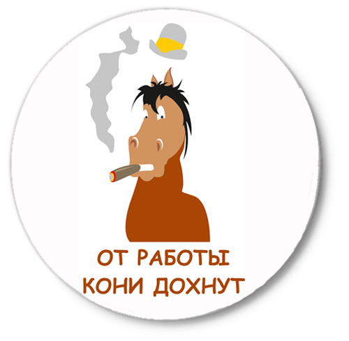 Бессмертный пони картинка с приколом