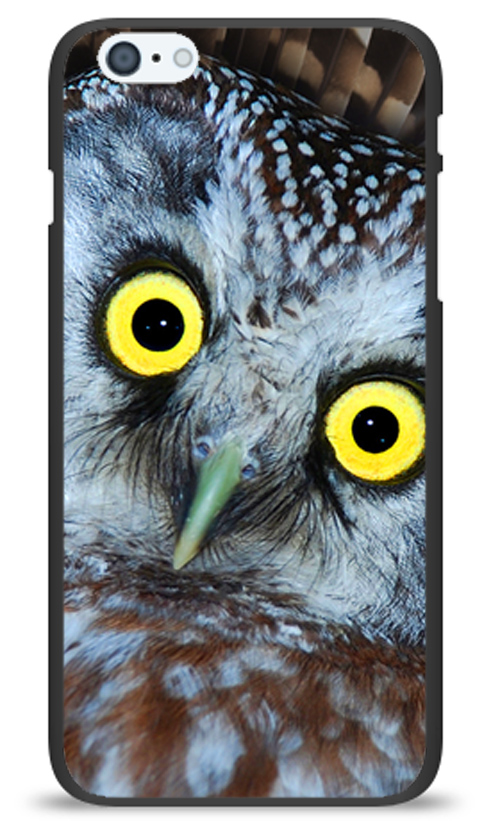 чёрная сова. телефон филина. хэлл филлин. филин. филин.