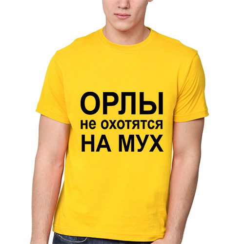 Орел не охотится на мух. Русский орел мух не ловит. Русский орёл мух не ловит триумфальная арка. Муха ловить сложное слово. Питер.