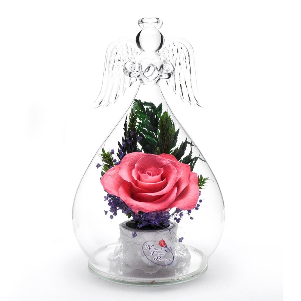 Цветы В Вакууме Купить Оптом