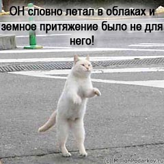 Шаг 10