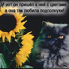 Шаг 11