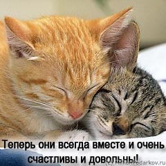 Шаг 12