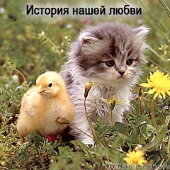 Шаг 5