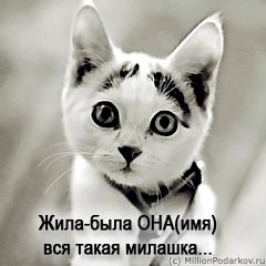 Шаг 6