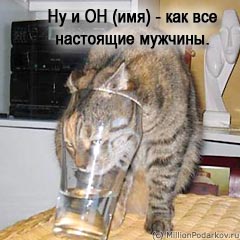Шаг 7