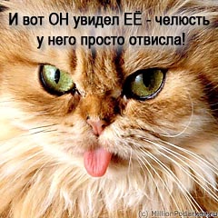 Шаг 8
