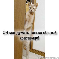 Шаг 9