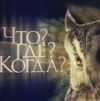 «Черный ящик», сова и другие приключения