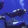 Свадьба на морском дне